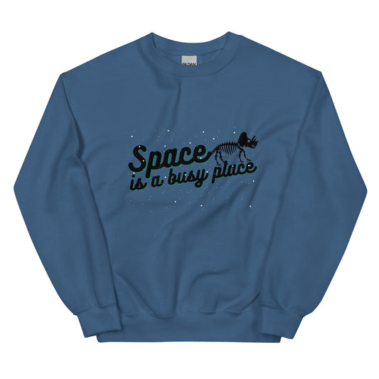 Space is a Busy Place Sweatshirt