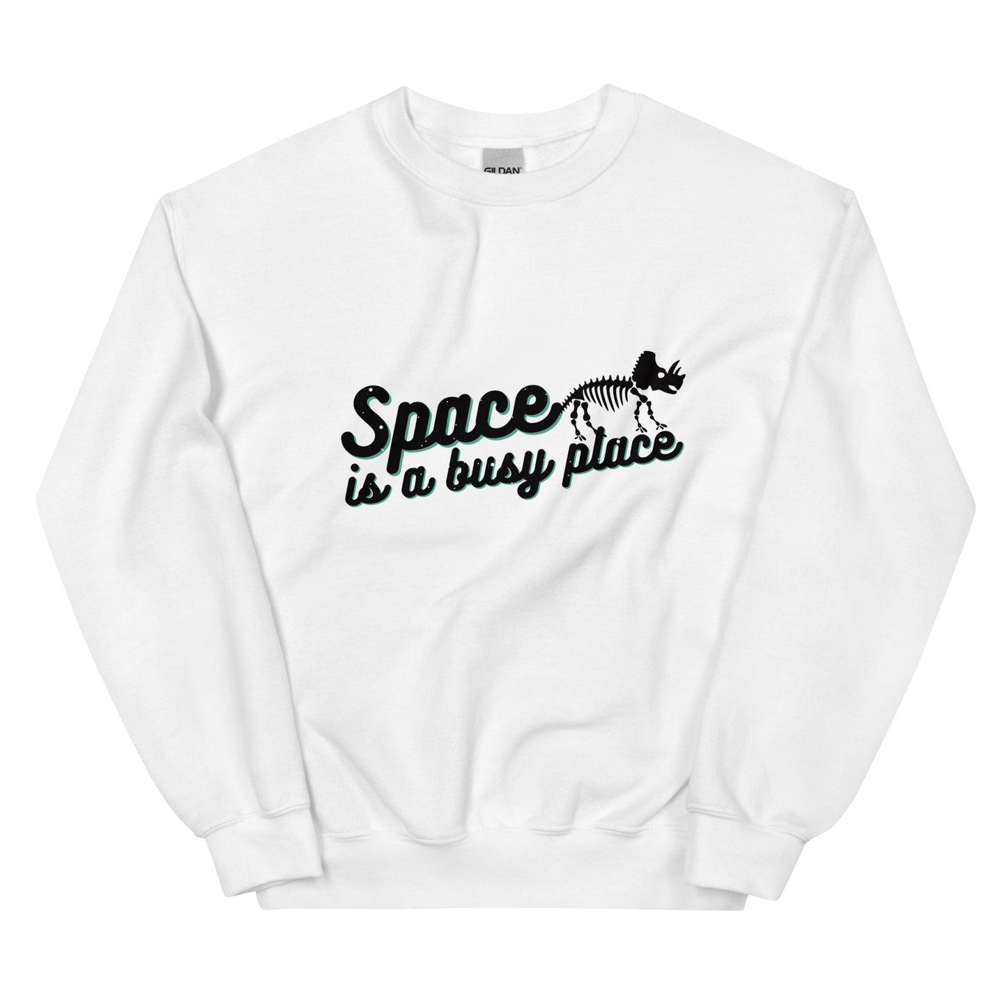 Space is a Busy Place Sweatshirt